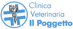 Clinica veterinaria  a Firenze Il Poggetto